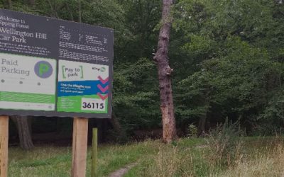 Car Parking Charge in the Forest