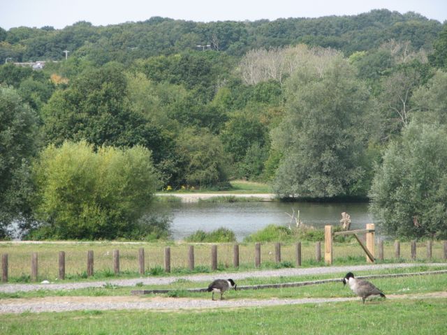 The Lake at Hainault Forest