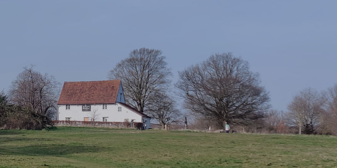 Love Epping Forest Manifesto 2026: Campaign Stalls