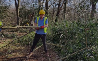 #LoveEppingForest: more stories