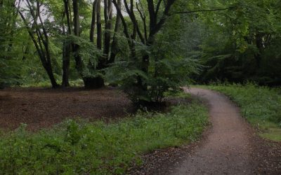 Partner organisations