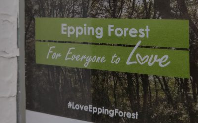 #LoveEppingForest: Posters