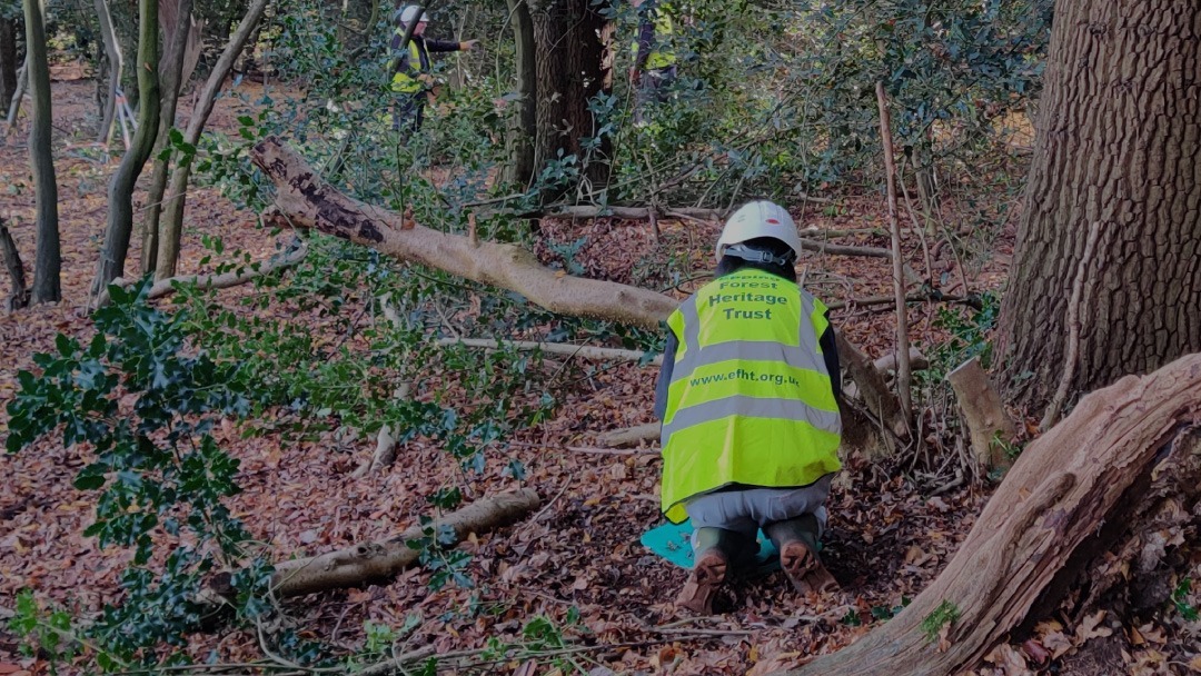 Green Team Autumn 2022 dates Epping Forest Heritage Trust