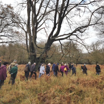 Perhaps you know an area of Epping Forest really well? Or maybe you simply enjoy walking in the Forest and would be pleased to share your enthusiasm? Join us to become a walk leader! We have a regular guided walk programme as part of our work is to inspire more people to know about Epping Forest, and enjoy the Forest responsibly. We are always welcoming passionate and knowledgeable volunteers to lead walks.