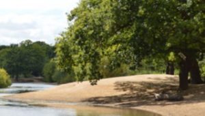 hornbeam trial layton flats epping forest waymarked trial hollow pond