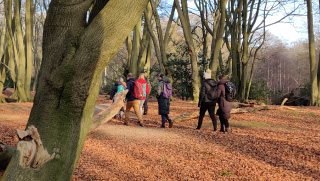 group of people trial through a wintery forest with old trees and tall branches