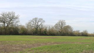 Planning application – EPF/2587/23 - Land to South of Vicarage Lane, North Weald Bassett, Epping, CM16