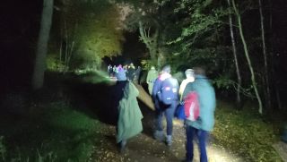 A Forest walk after dark