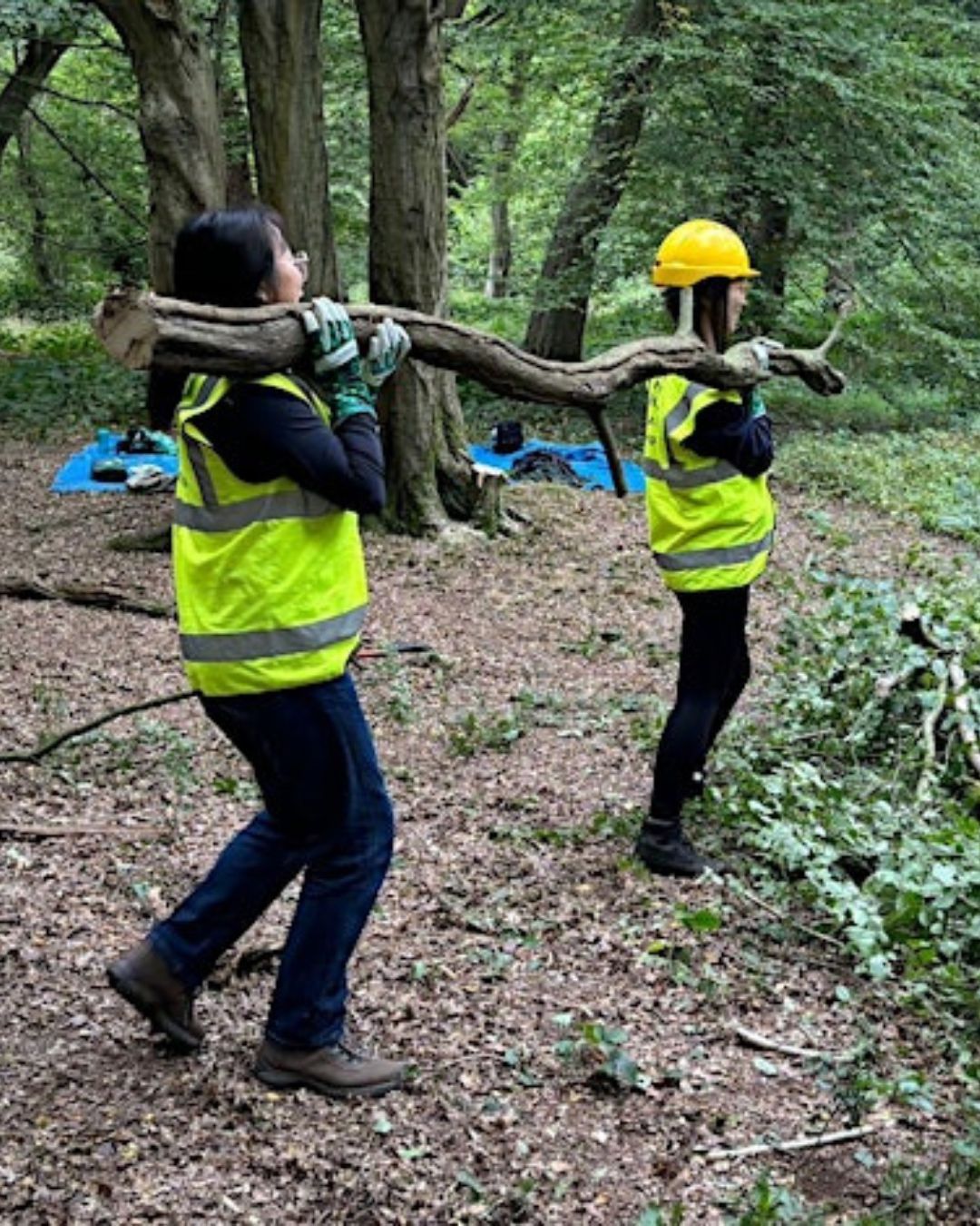 women hands-on conservation in epping forest Epping Forest Heritage Trust Strategy