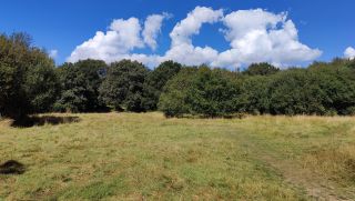 The Buffer lands of Epping Forest, their importance and their history