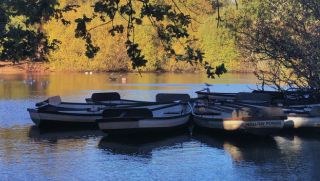 Work and leisure in the Hollow Ponds