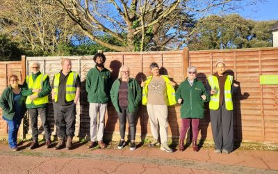 Help us find a new home