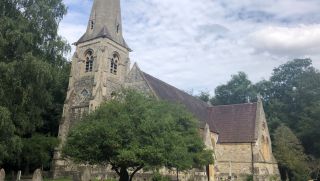 A trail in the ancient woodland