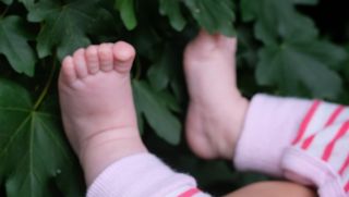 Tiny Trail-Epping Forest Walk for parents & caregivers with 0-5 year olds