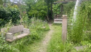 Nature & Art in the Neighbourhood