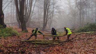 download love epping forest manifesto 2026