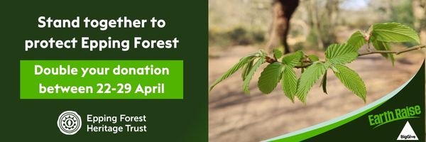 Double your donation with Big Give Earth Raise 2026