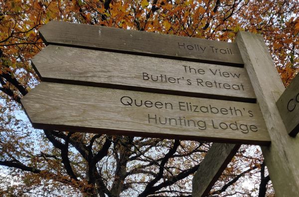 Walkers in Epping Forest - Big Walk 2023