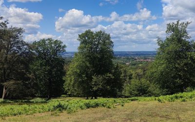 Special Planning Measures imposed on Epping Forest District Council