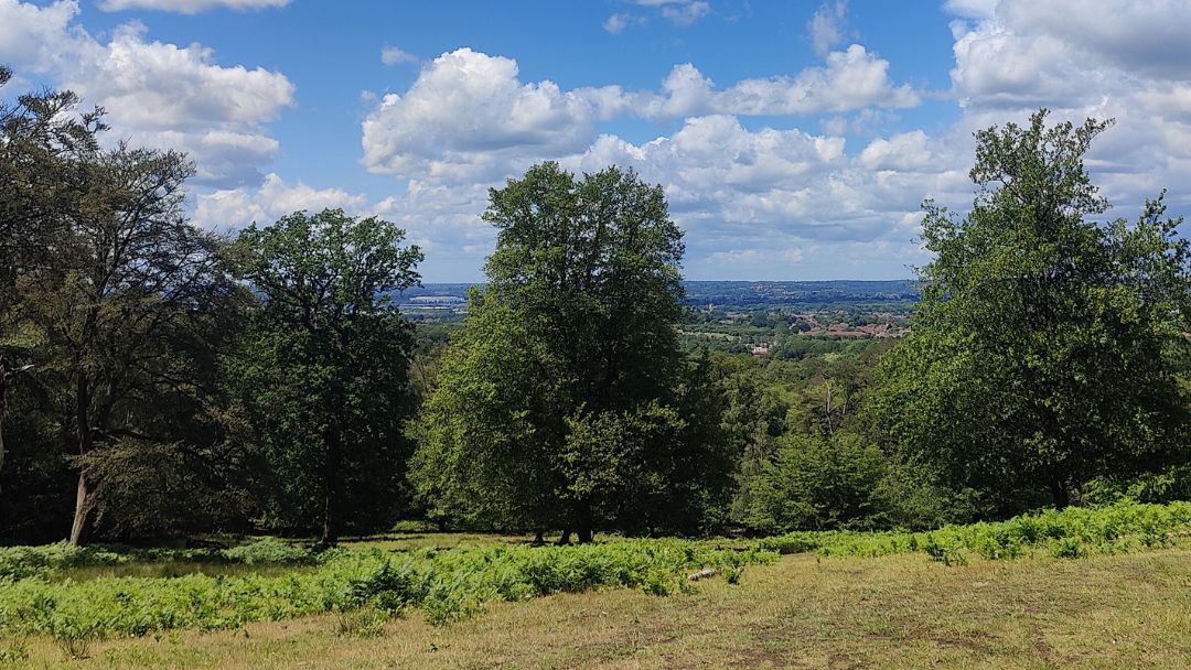 Special Planning Measures imposed on Epping Forest District Council
