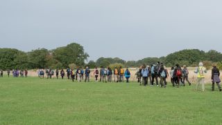 Epping Forest Big Walk