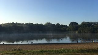 A late autumn stroll in Wanstead Park